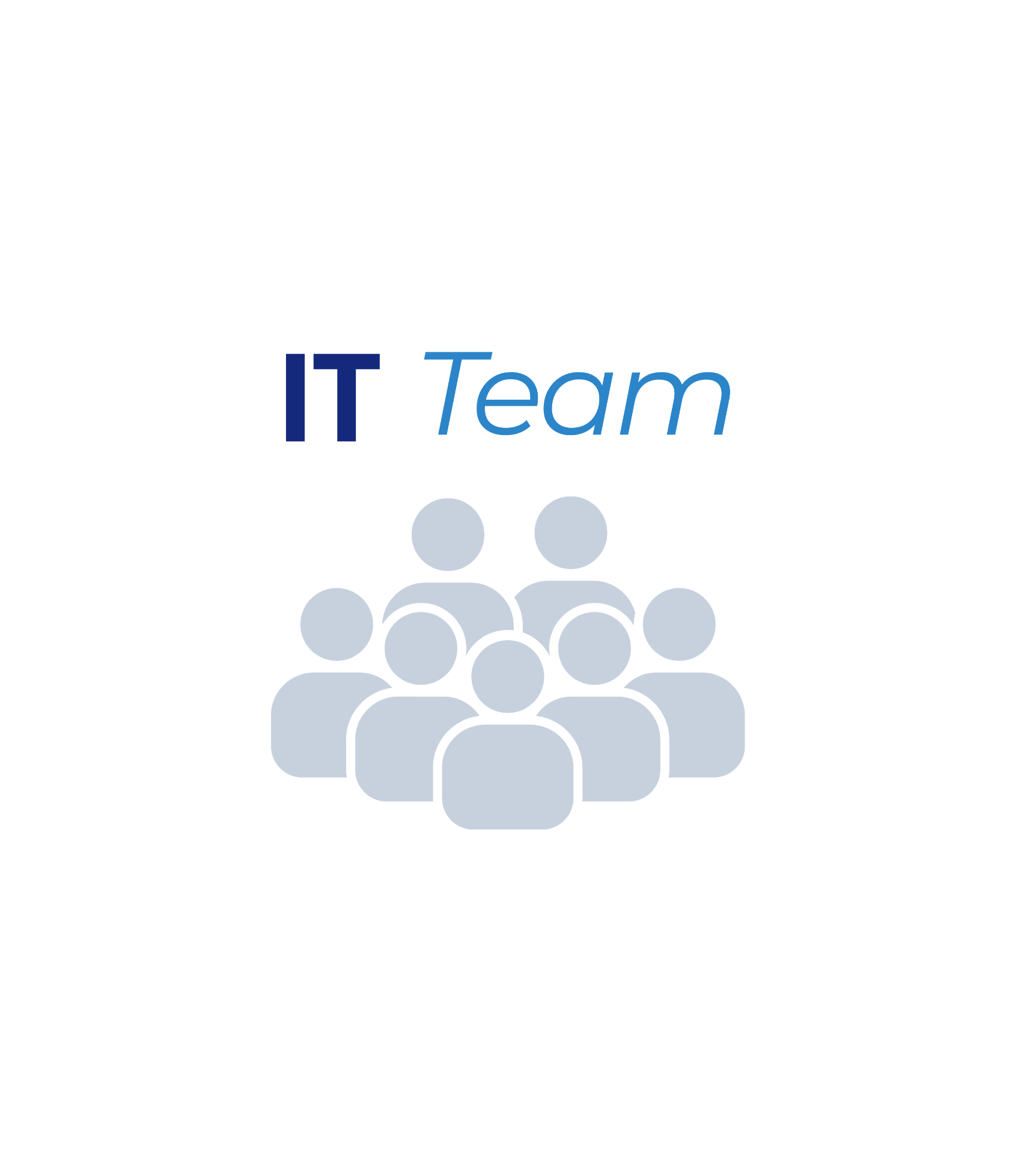 IT Team